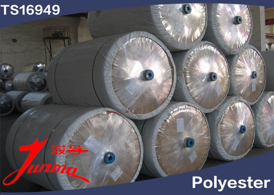 High Module Low Shrinkage 100% Polyester Tire Cord Fabric  2000D / 2